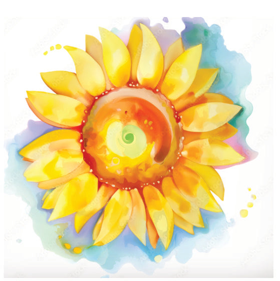 The Original Nourish & Shine